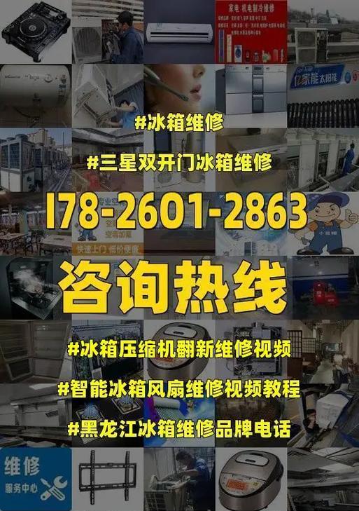 冰箱风扇不转了怎么办（解决冰箱风扇停转问题的实用方法）