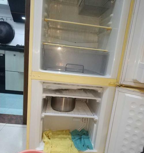 清洁冰箱的小妙招（去除冰箱异味的有效方法）