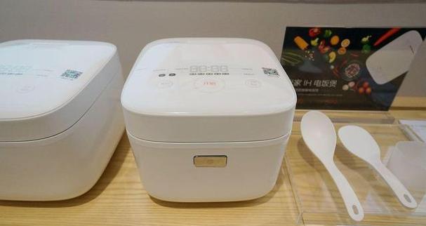 解决电饭煲煮饭异味的方法（消除电饭煲煮饭异味）