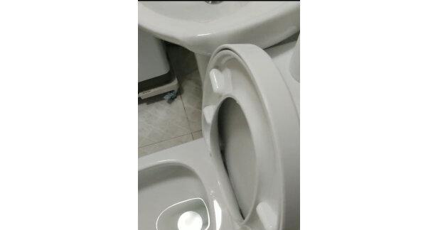 为什么以法恩莎马桶冲不干净（探究造成以法恩莎马桶冲不干净的原因及解决办法）