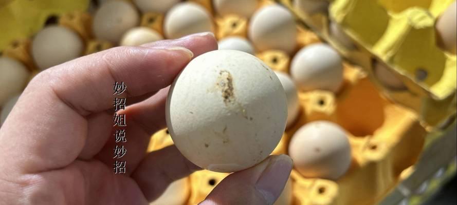 怎么样轻松清洗冰箱？一招解决冰箱难题