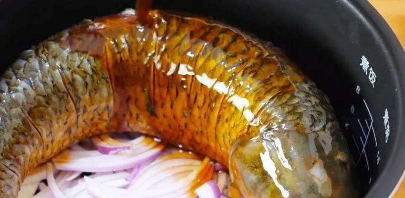 电饭煲蒸鱼不出气的解决方法（小技巧教你让蒸鱼更加美味）