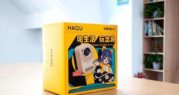电脑和投影仪共用的音箱设备如何称呼？