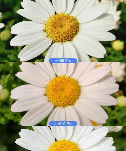 手机无法拍照时应如何处理？