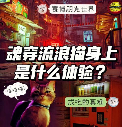 小猫模拟器游戏通关技巧有哪些？